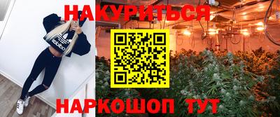сатива Будённовск