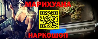 сатива Будённовск