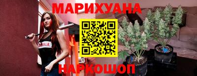 сатива Будённовск