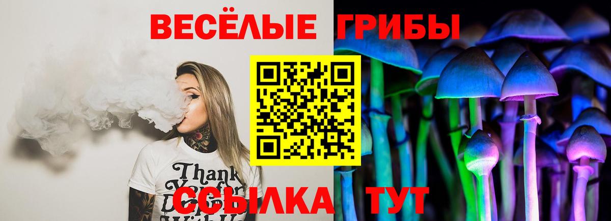 Псилоцибиновые грибы Magic Shrooms  Вход с VPN  Петрозаводск 
